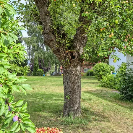 Wesenberg * Strasen
